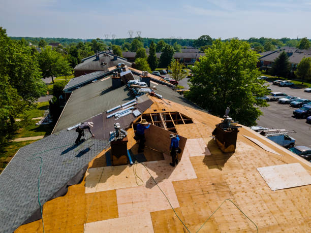 Best Flat Roof Repair Services  in Amboy, WA