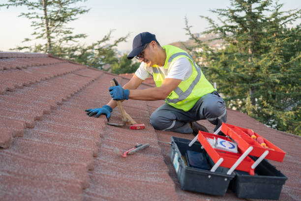 Best Local Roofing Companies  in Amboy, WA