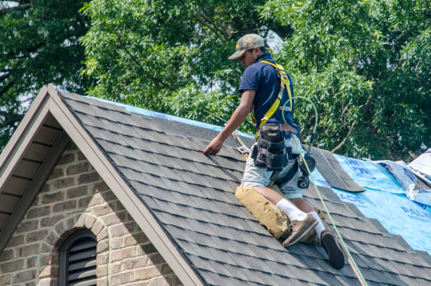 Best Metal Roofing Contractor  in Amboy, WA